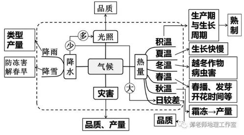 高中地理農(nóng)業(yè)區(qū)位條件及其影響 我國(guó)農(nóng)業(yè)地理地圖 世界主要農(nóng)業(yè)地域類型知識(shí)詳解