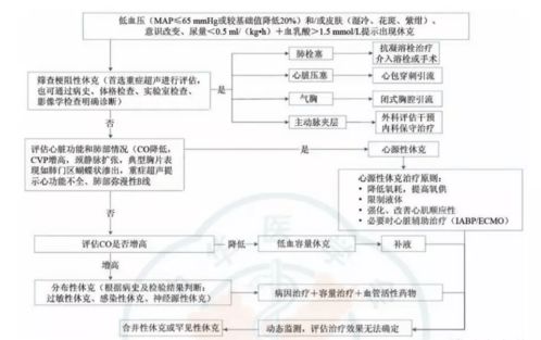 精彩匯總 臨床常用流程圖