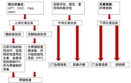 如何管理消化道出血 收藏這5張圖就夠了